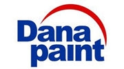 danapaint